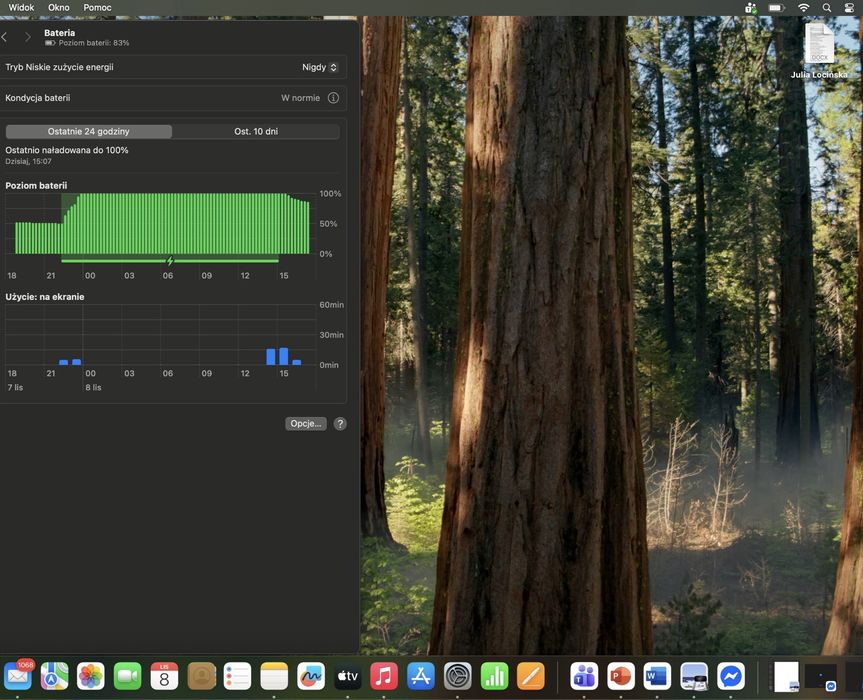 MacBook Pro 15” (2019) – i7 / 32 GB RAM / 256 GB SSD / Srebrny