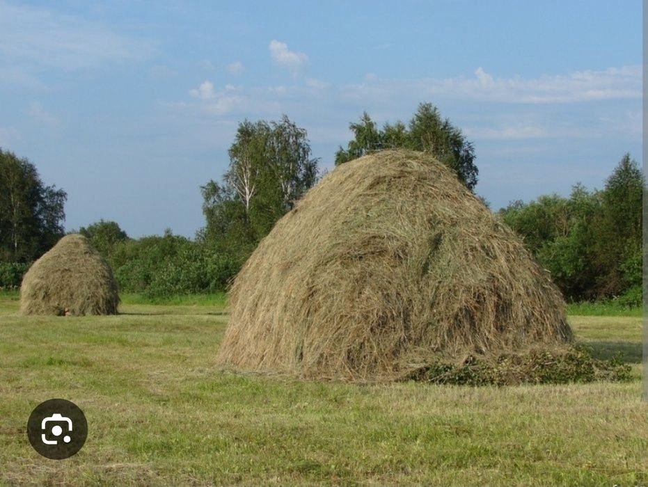 Продам Сіно для худоби