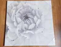 Obraz róża szara nowy 55 x 55 cm