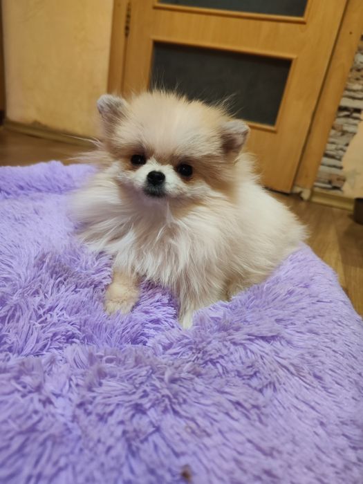 Супер мини девочка