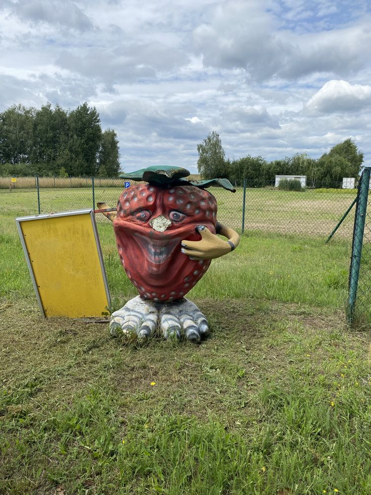 Reklama truskawka