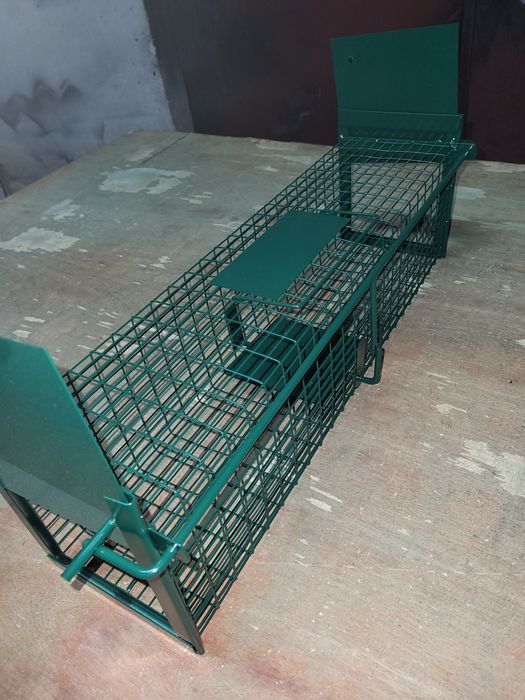 Klatka na gryzonie (szczury itp)