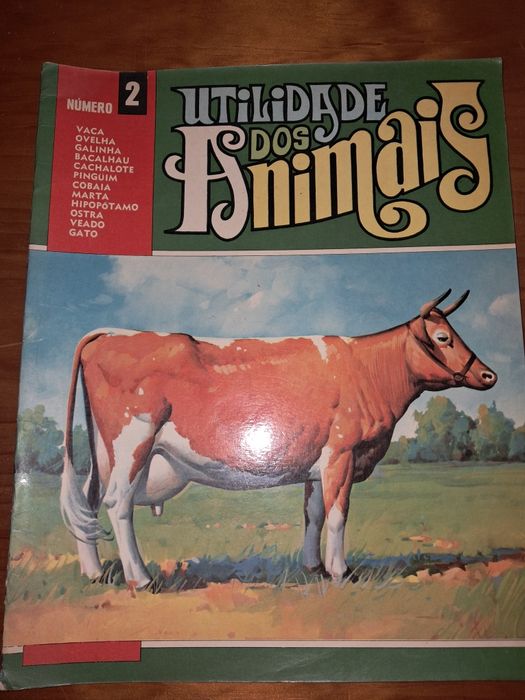 Conjunto de livros Educativos antigos