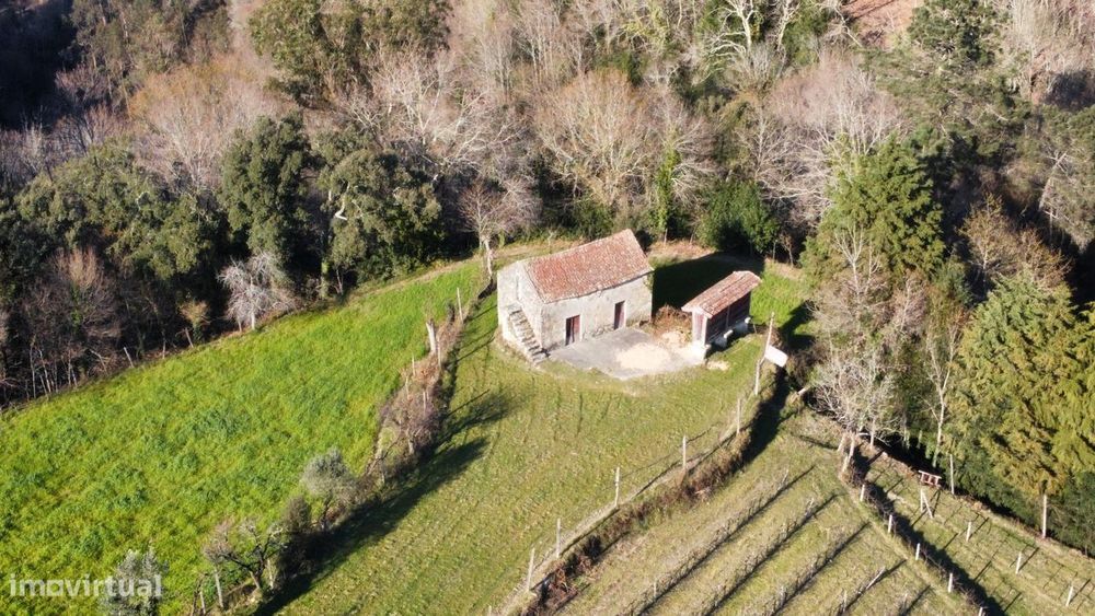 Quinta – Oliveira de Frades