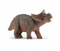 Triceratops Młody, Papo