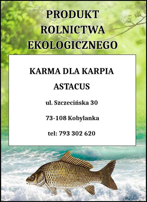 karma dla ryb karp pstrąg jesiotr koi