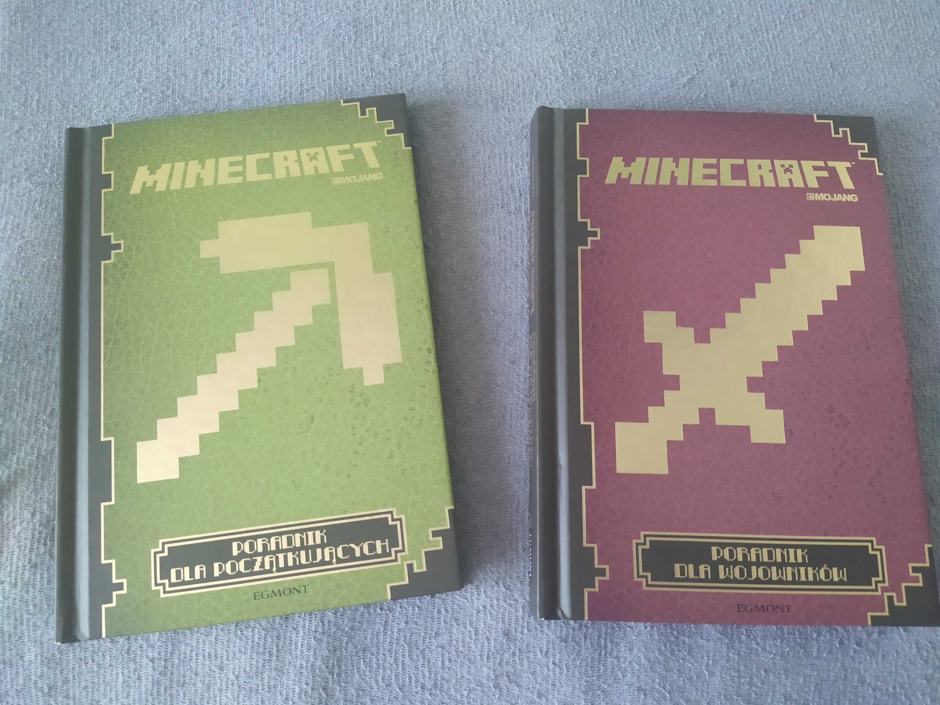 Książki Minecraft