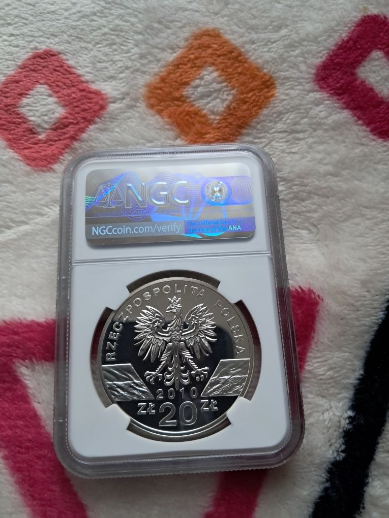 NGC PF 70 Podkowiec Mały