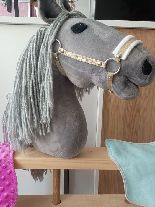 Hobby horse A3 znanej firmy Amiga.