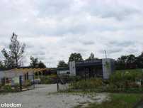 Działka, Miłoszyce