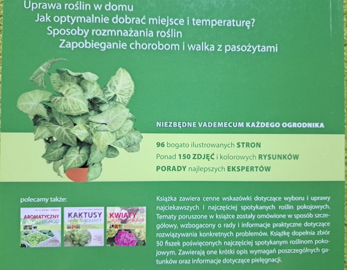 Zieleń w moim domu