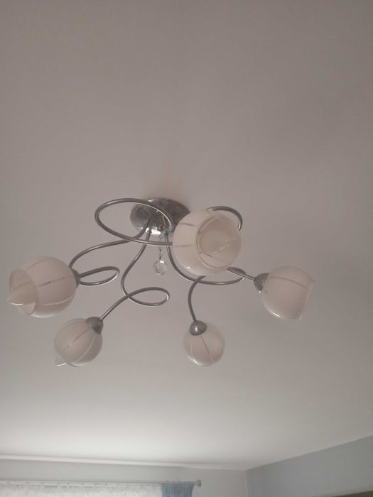 Żyrandol 5 kloszowy