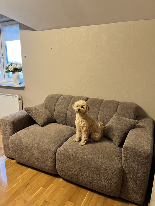 Sofa modułowa boucle od producenta mebli szarobeżowa