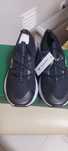 Tenis lacoste novos