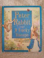 Peter Rabbit książka po angielsku