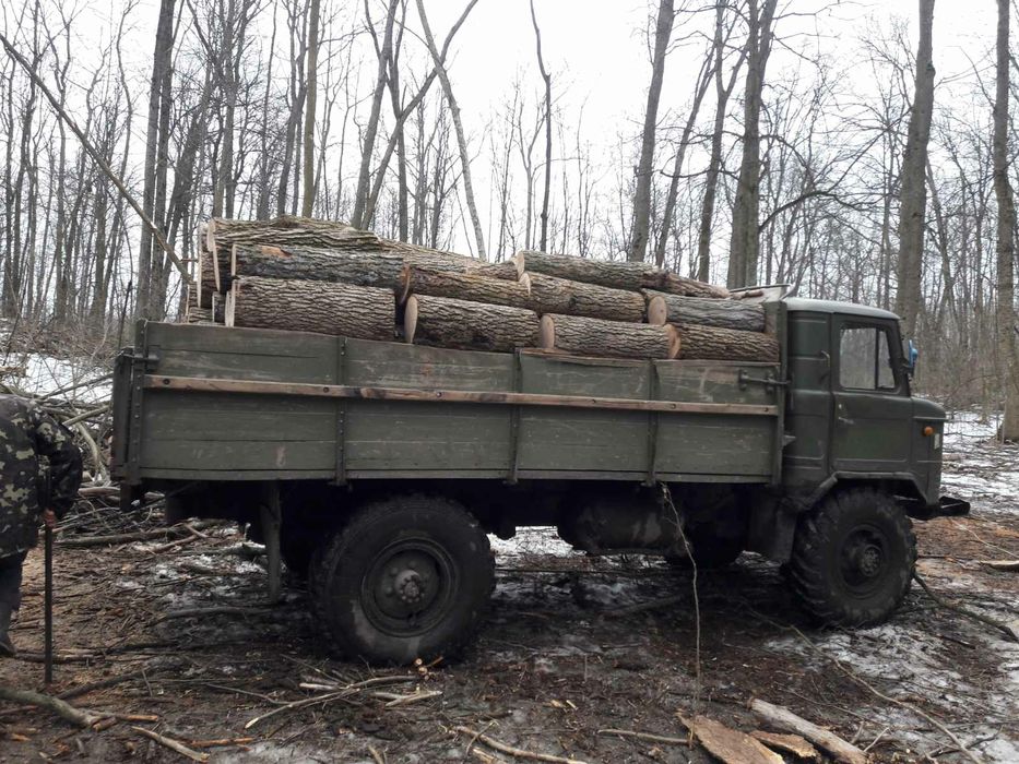 Дрова пород дуб и ясень