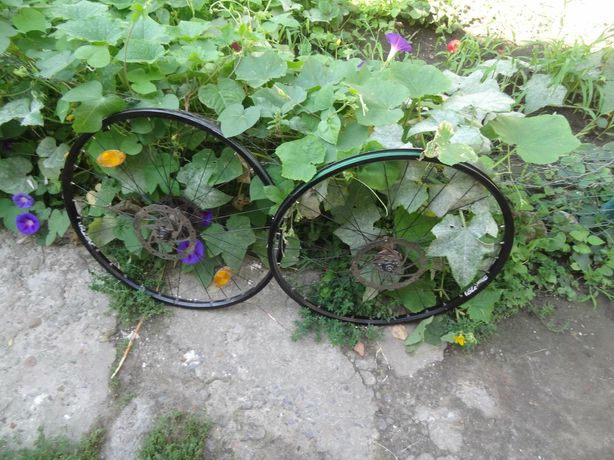 Велоколесо з тріщоткою і дисками