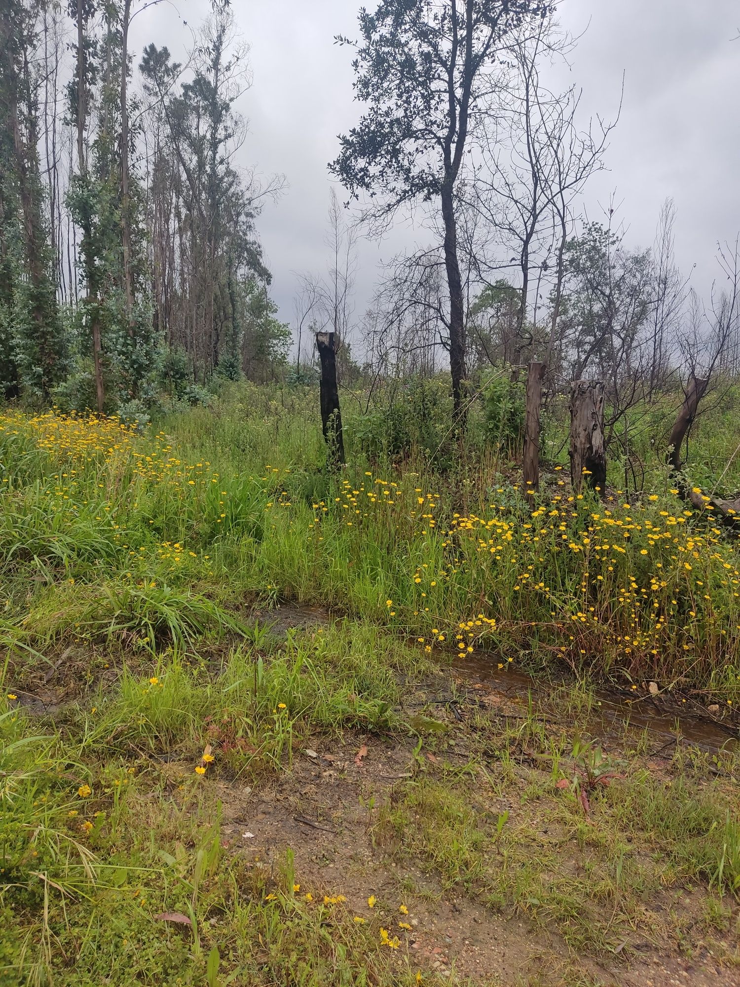 Terreno para construção