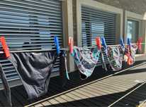 Cuecas de bikinis