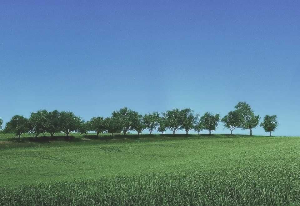 Ділянка Солонянський район, район с. Березине, 8.44 га