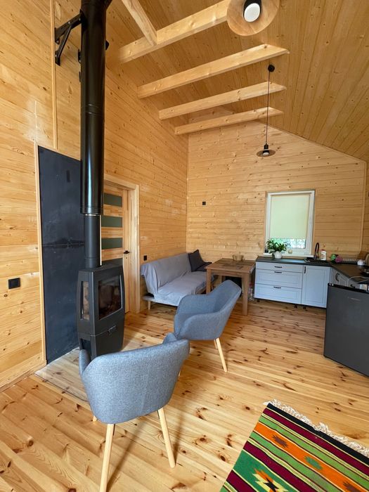 Сучасний будинок 45 м² з каміном і терасою біля лісу.