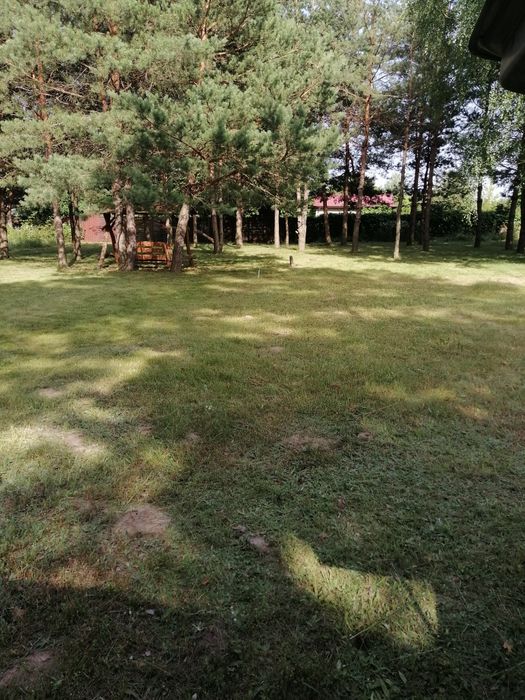 Приберу подвір'я, викос трави, стрижка кущів, обрізка та стрижка дерев