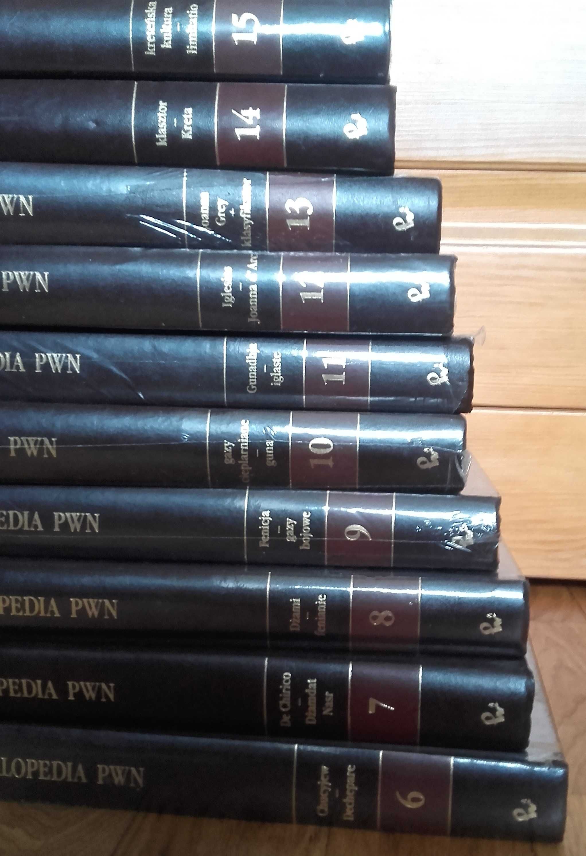 Wielka Encyklopedia PWN. Nowa! 1 tom w cenie 23 zł