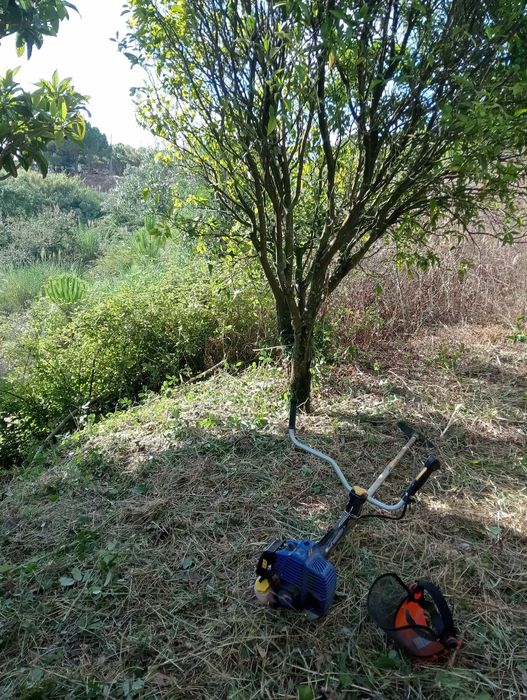 Limpezas de Terrenos