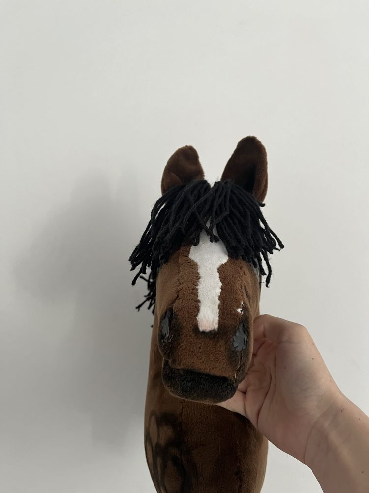 Hobby horse gniady