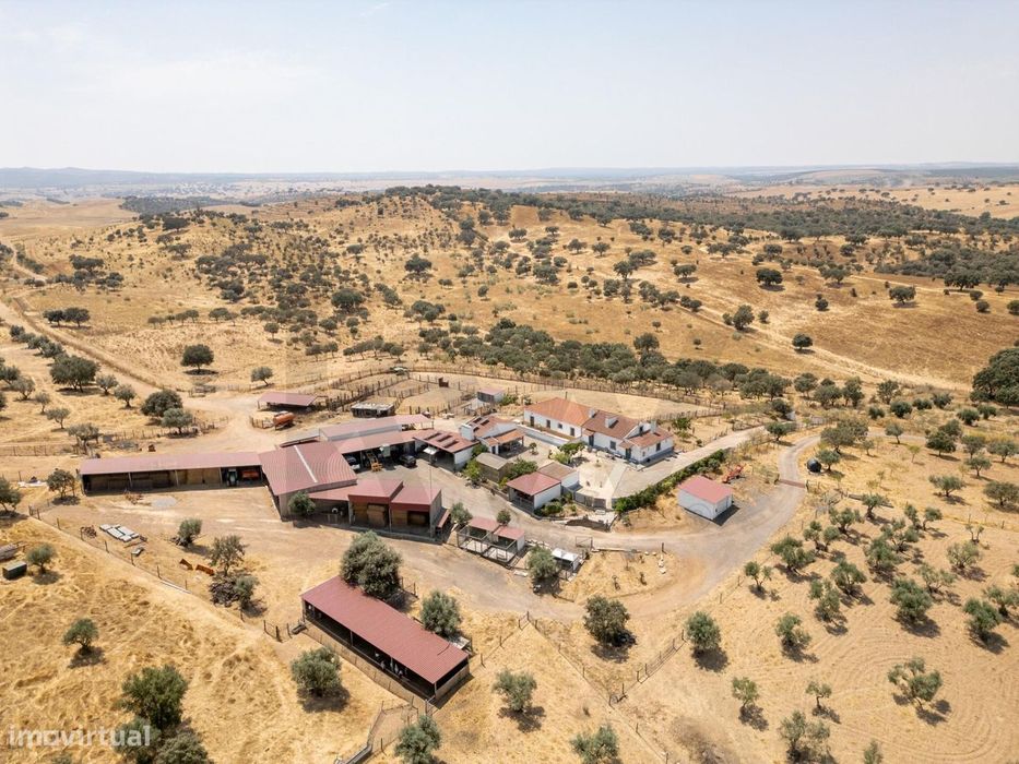 Herdade Agrícola e Turística com 64 ha | Vendinha – Évora | Totalmente