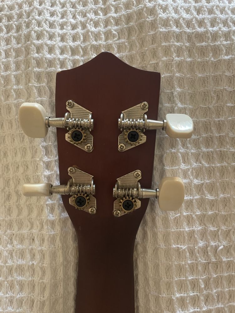 Ukelele novo castanho
