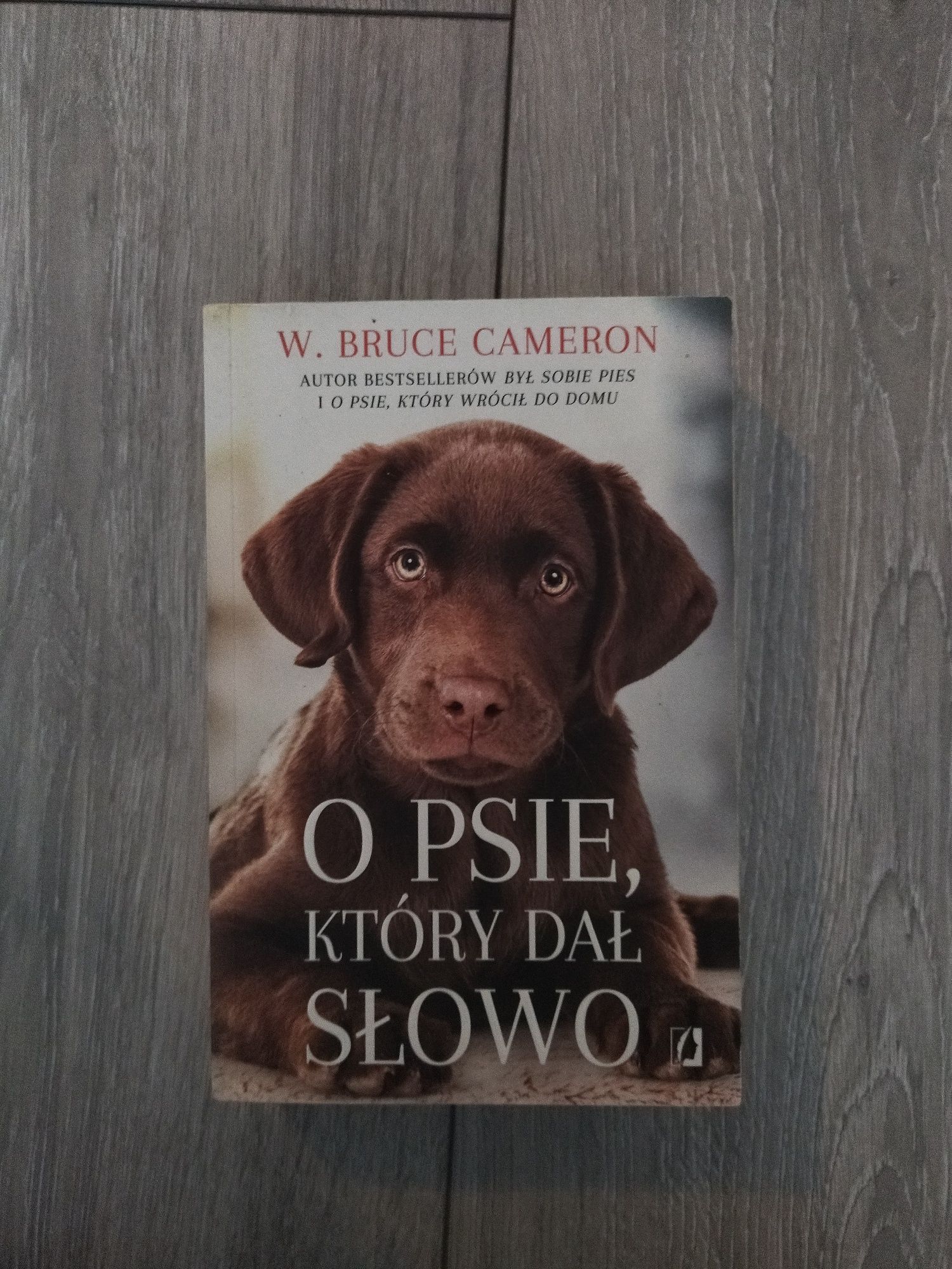 o psie, który dał słowo w.bruce cameron