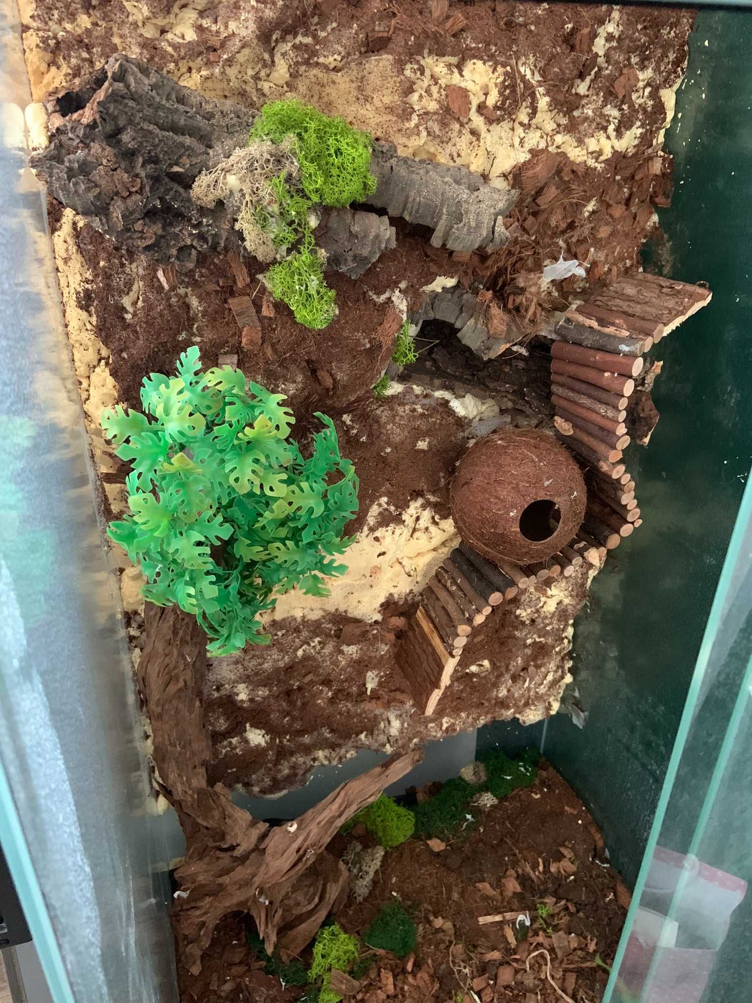 Terrarium szklane Diversa 250 L 100x50x50cm dla gekona uszkodzone