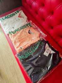 Polo lacoste novos