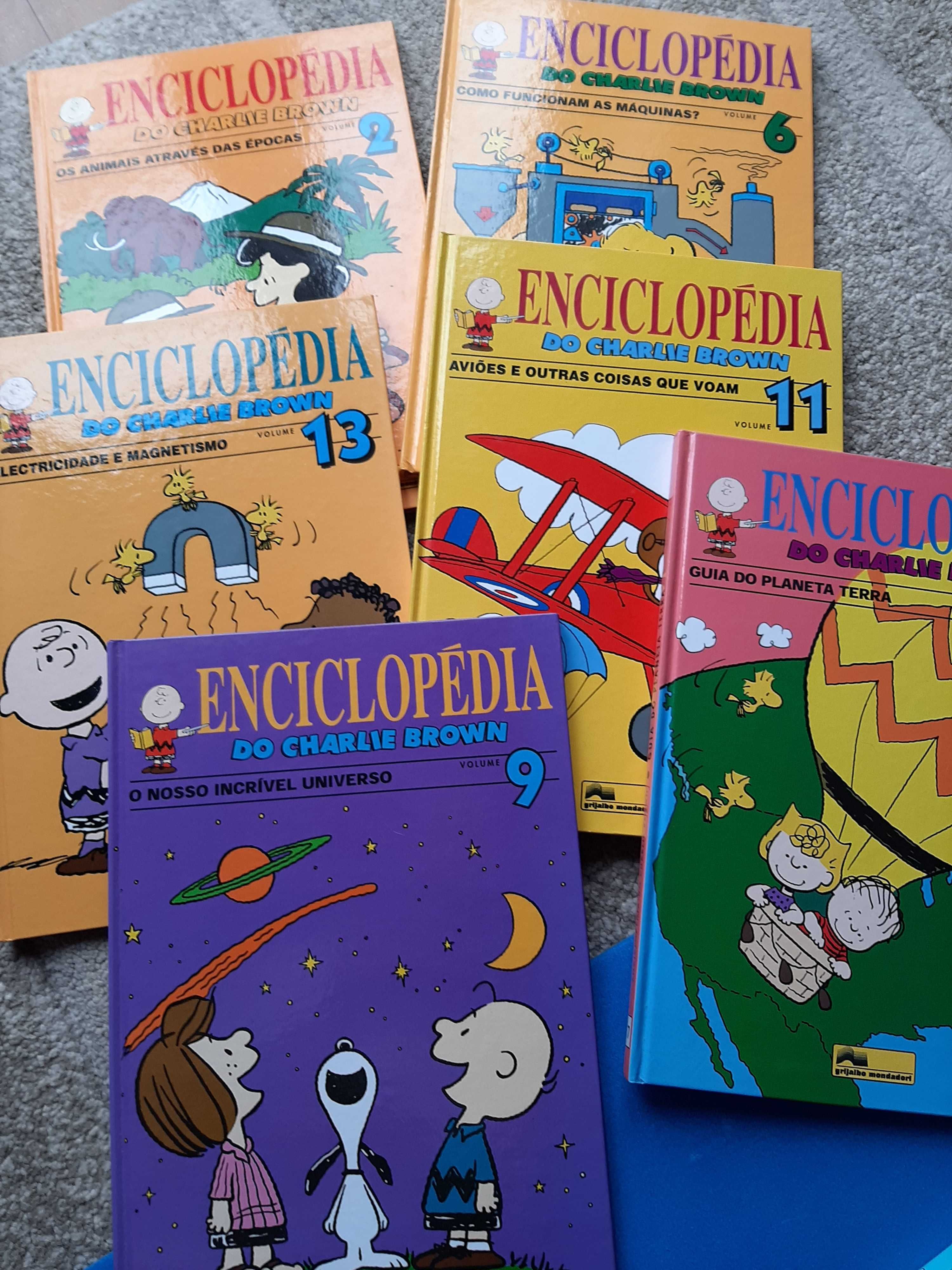 Enciclopédia Charlie Brown  15 livros novos