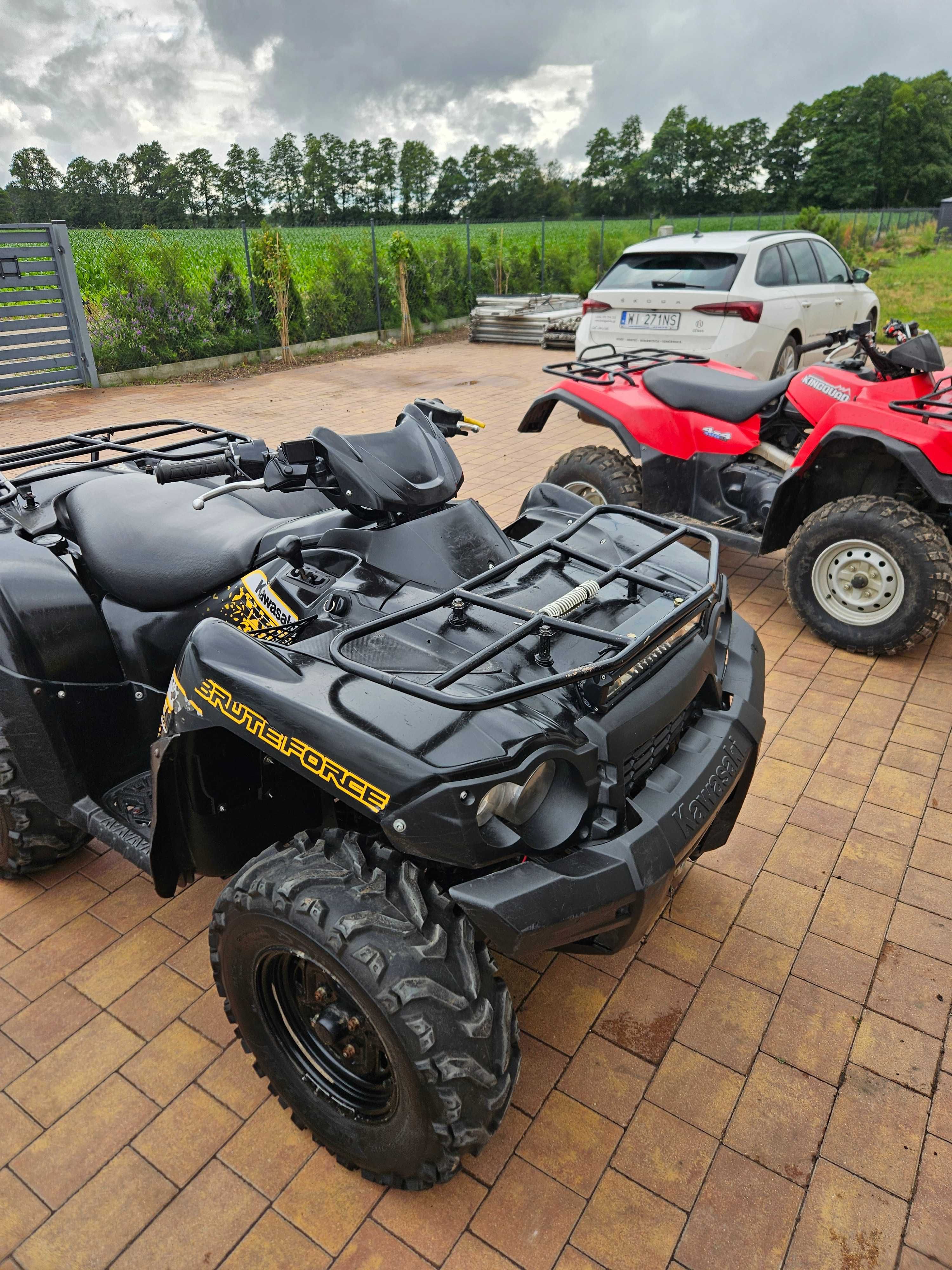 Quad Brute Force 650i