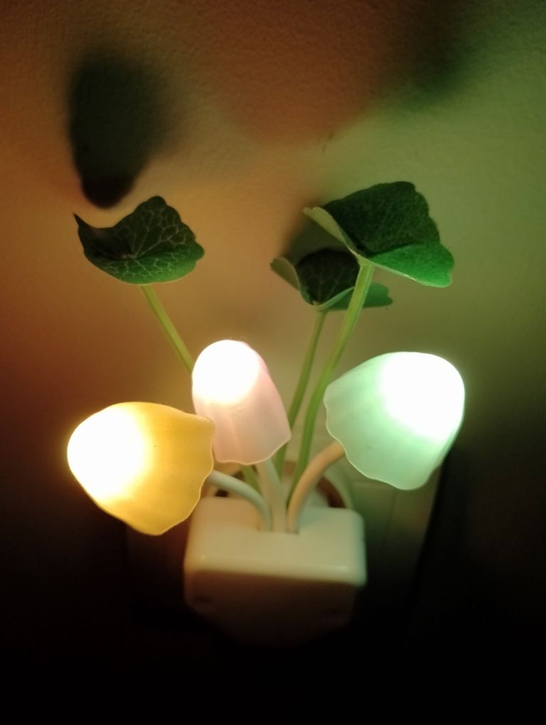 Lampka Led do kontaktu.
