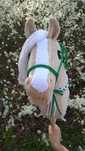 Hobby horse izabelowaty + halter + cordeo