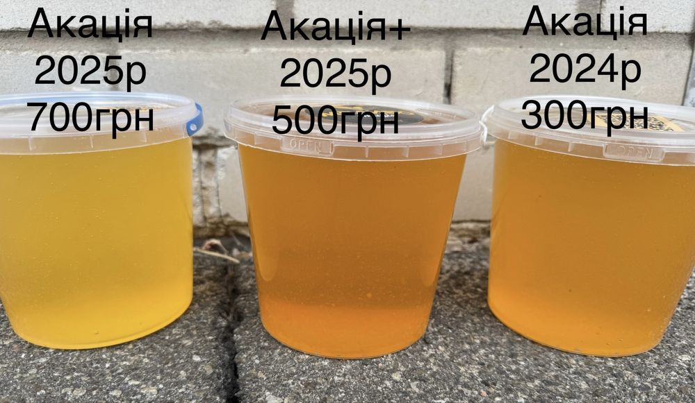 Мед акація, липа 2023, 2025р