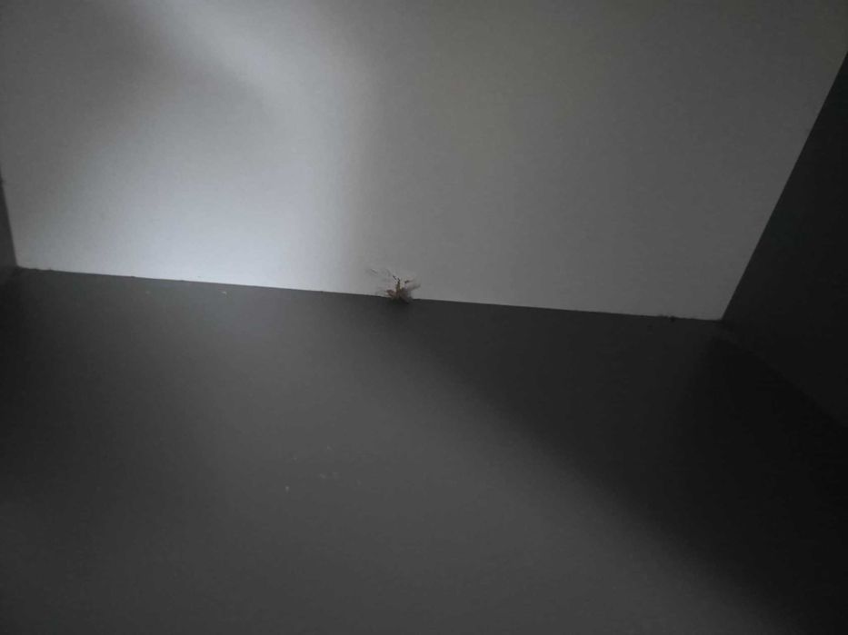 Biurko i regał młodzieżowy Vox  seria motor