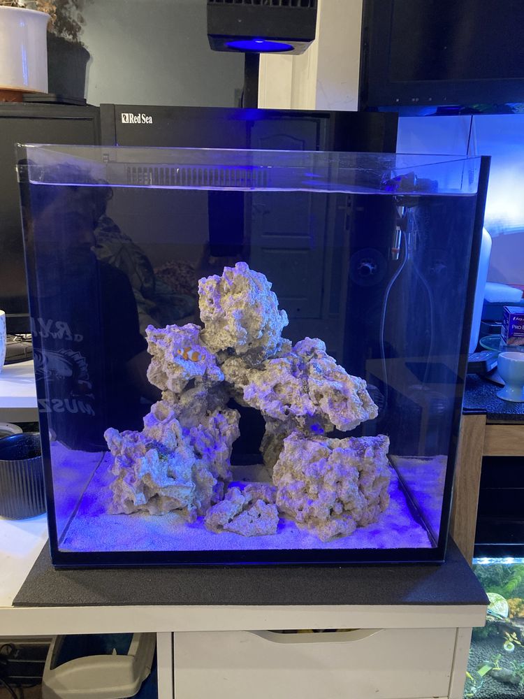 Akwarium morskie Red Sea Max Nano 90l