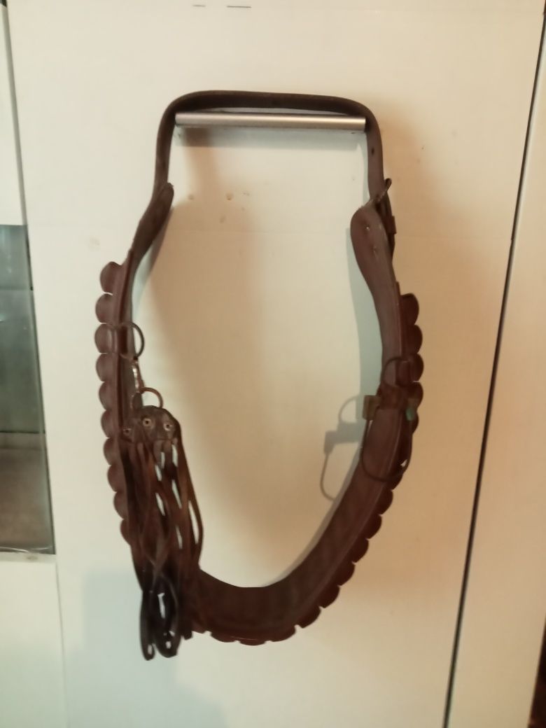 cartucheira de caça