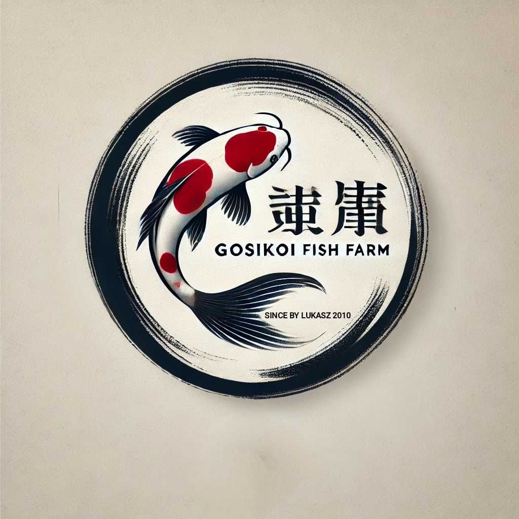 Karp koi oczka wodne