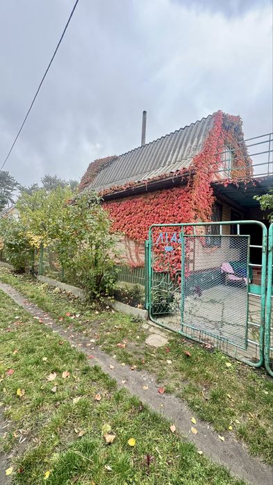 Дача коло Дніпра