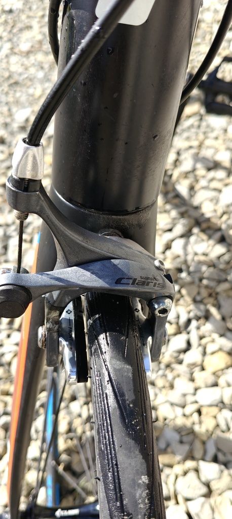Cube Peloton Claris "L" 60
