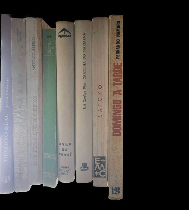 Livros variados em português