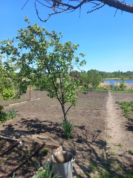 Продам будинок на старій Балашівці. Вихід до річки.