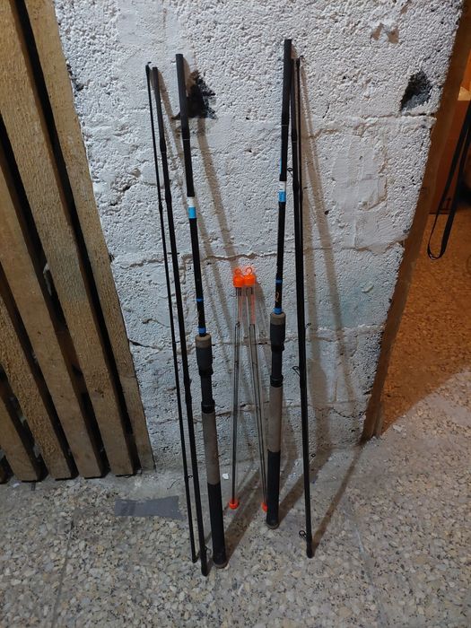 Feeder hokkaido armenian warriors 300 2w cenie 1!