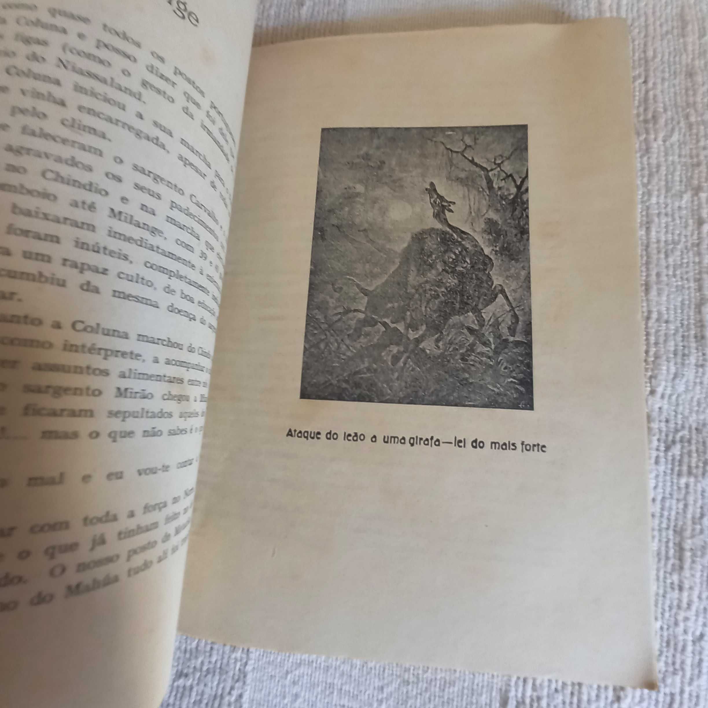 Livro antigo sobre Moçambique