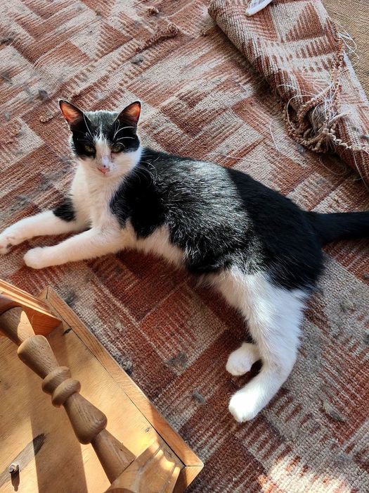 Активна весела дівчинка